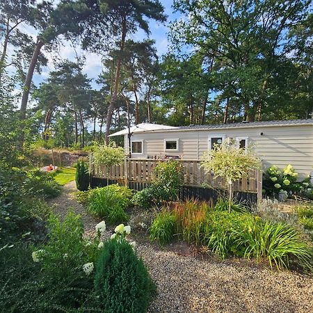 Luxe 4 Persoons Chalet Op 5 Sterren Camping Raalte Ngoại thất bức ảnh